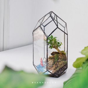 Chậu Kính Terrarium Chóp Đa Giác